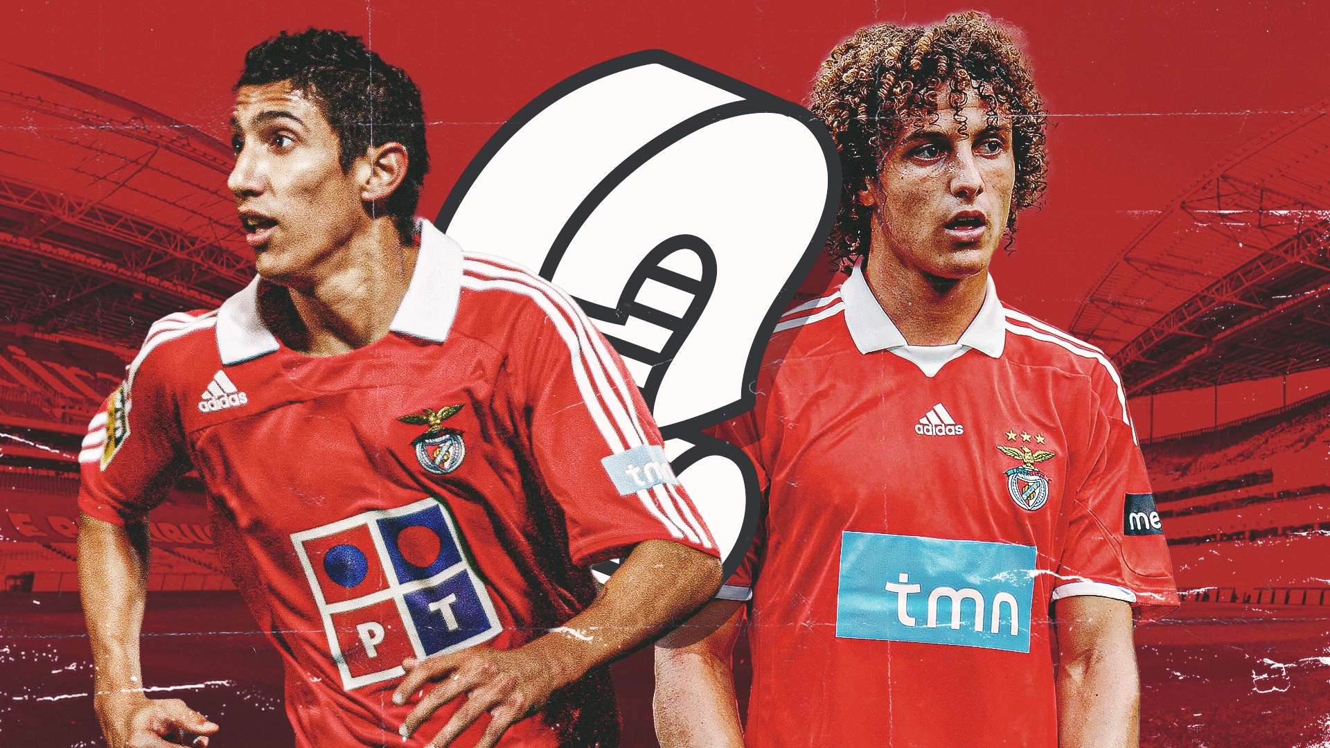 他以不懈的 他以不懈的