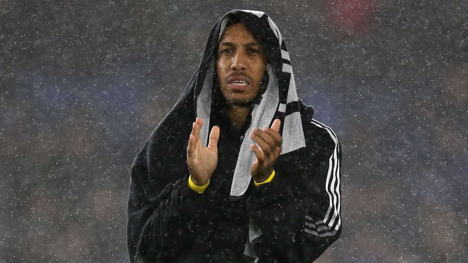 随着月亮的 随着月亮的