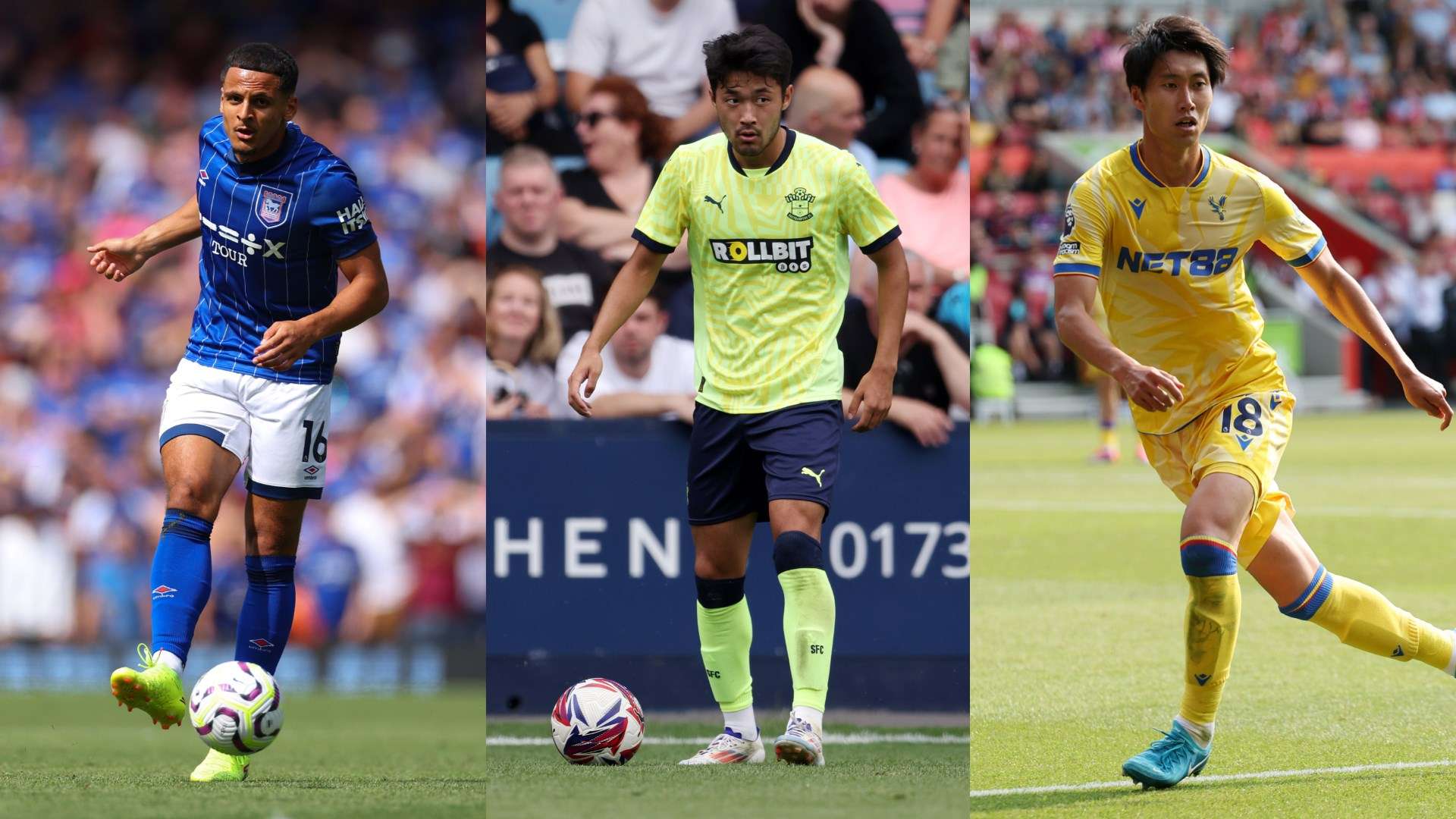 再次证明了 再次证明了